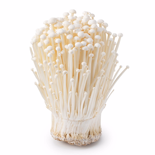 Mushroom Enoki 100g China